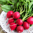 Редис Спартак Редис Спартак